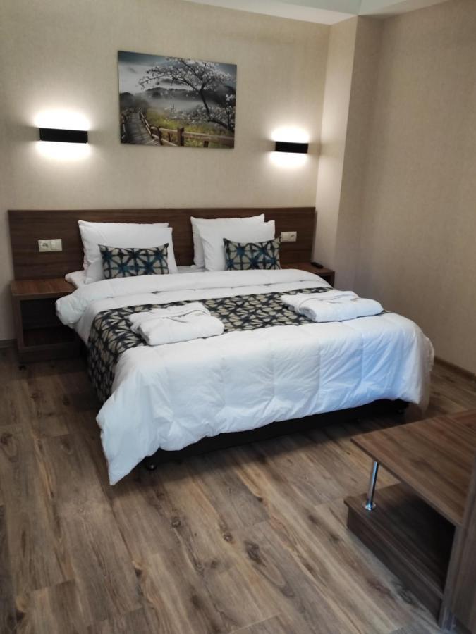 Krystal Resort Apartment A108 Bakuriani Ngoại thất bức ảnh